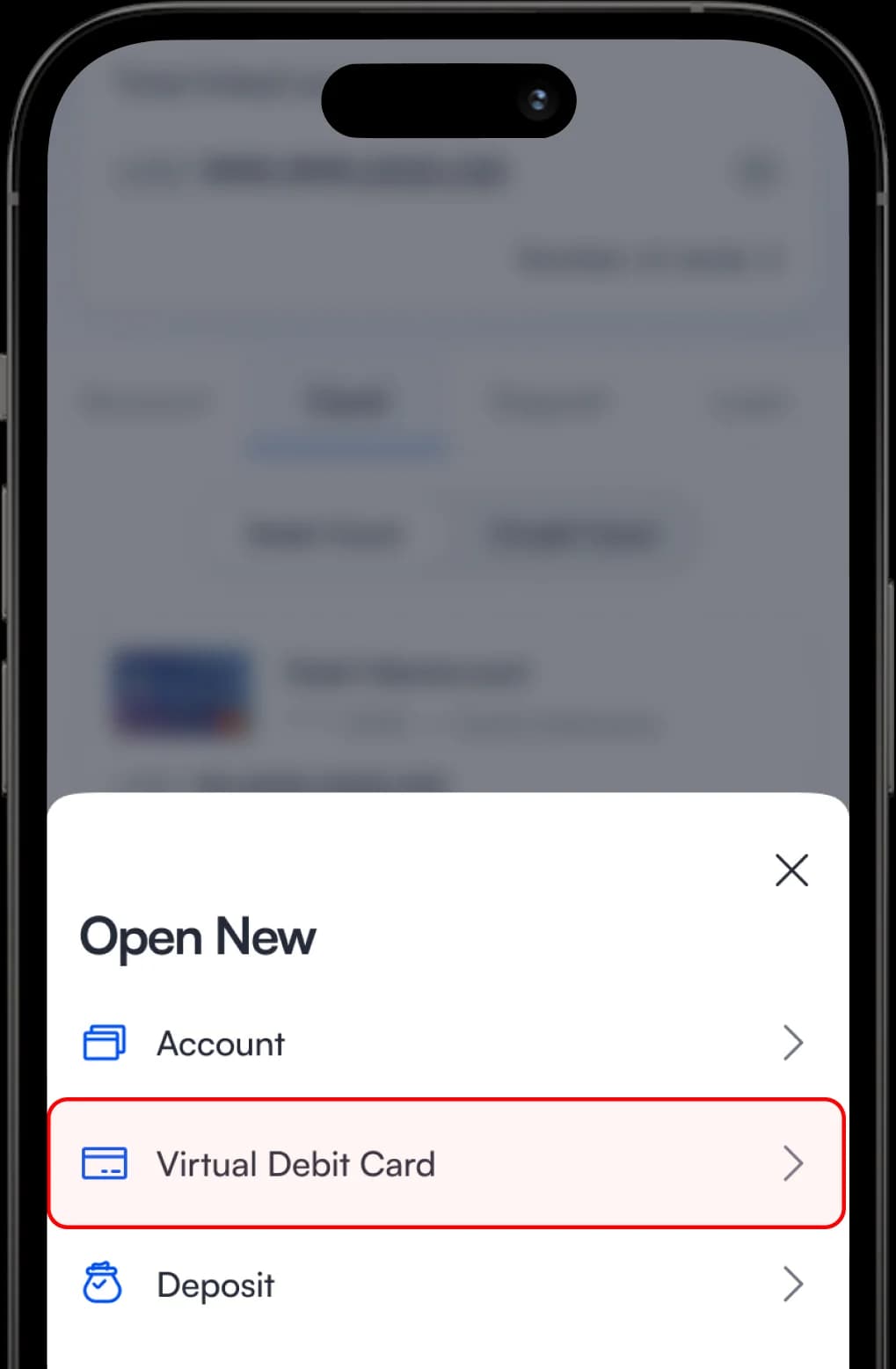 Select “Virtual Debit Card” From The Options.