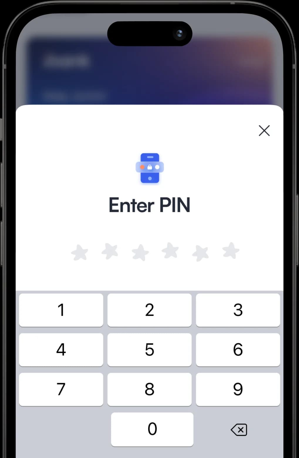 Authorize The Transaction via Face ID, Touch ID, or PIN.