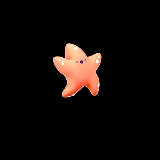 Star decoration