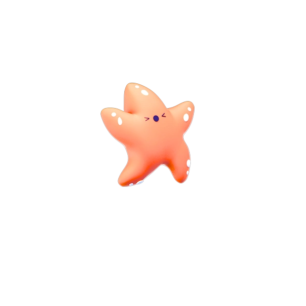 Star decoration